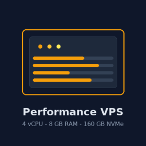 Performance VPS 1