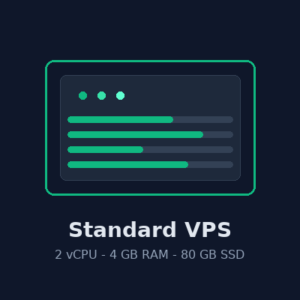 Standard VPS 1